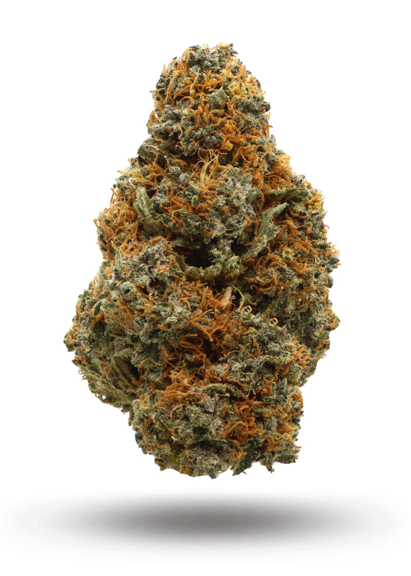 Mimosa-N5-X20.01.jpg