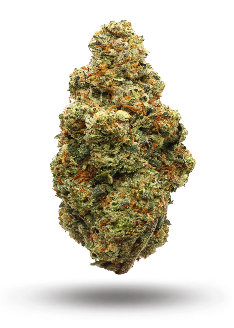 Gas Monkey