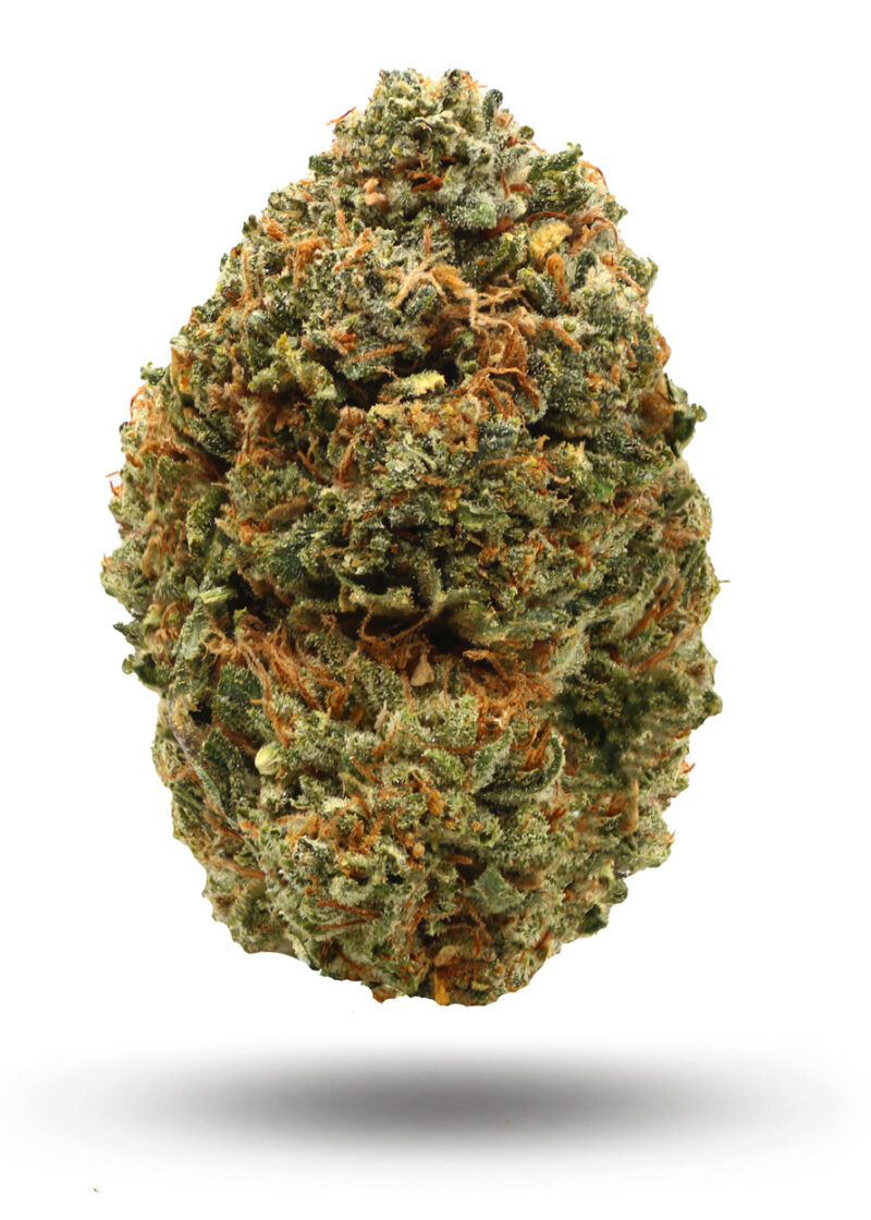 Pink Glue