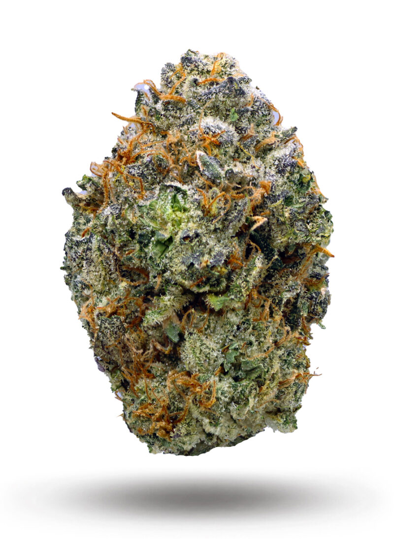 Animal Gas