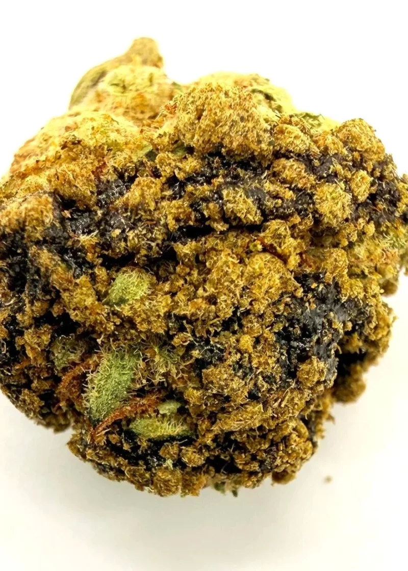 Terra Tonic Moon Rock 1g