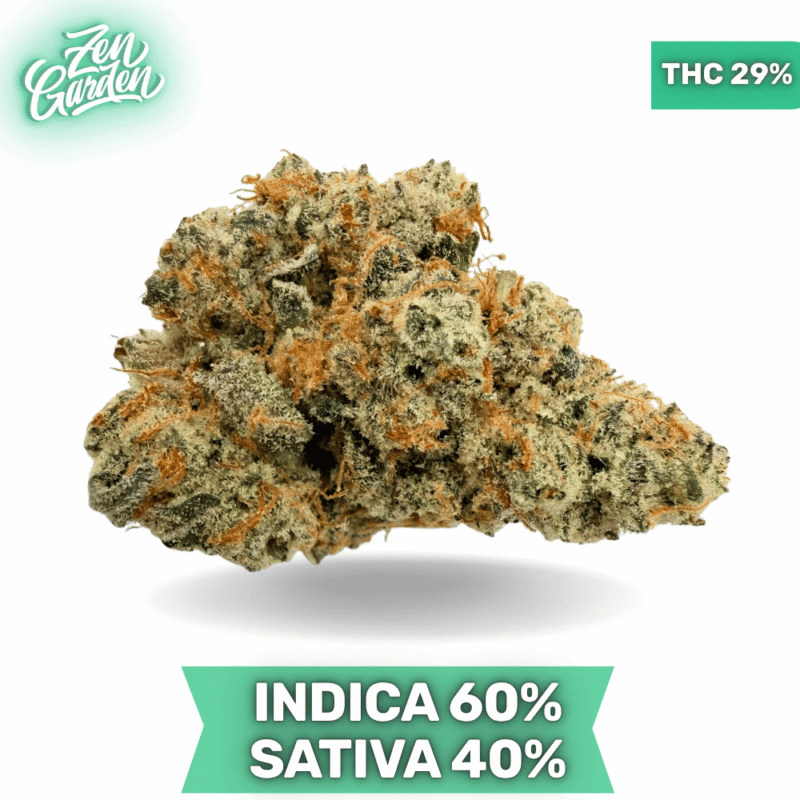 Animal Sherbet AAAA+