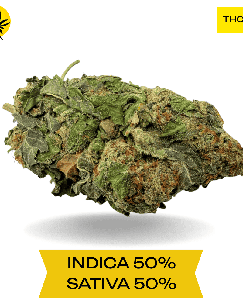 Birthday Cake Kush AAA 3OZ Deal