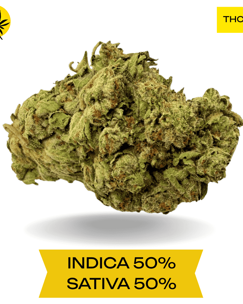 Cream Puff AAA 3OZ Deal