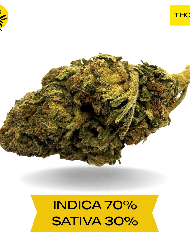 Do-Si-Dos AAA 3.oZ Deal