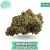 Gorilla Guava AAAA