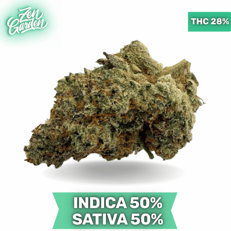 Gorilla Guava AAAA