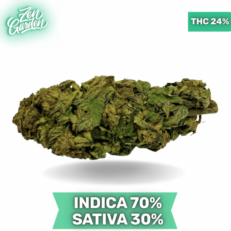 Jet Fuel AAA 3.oZ Deal