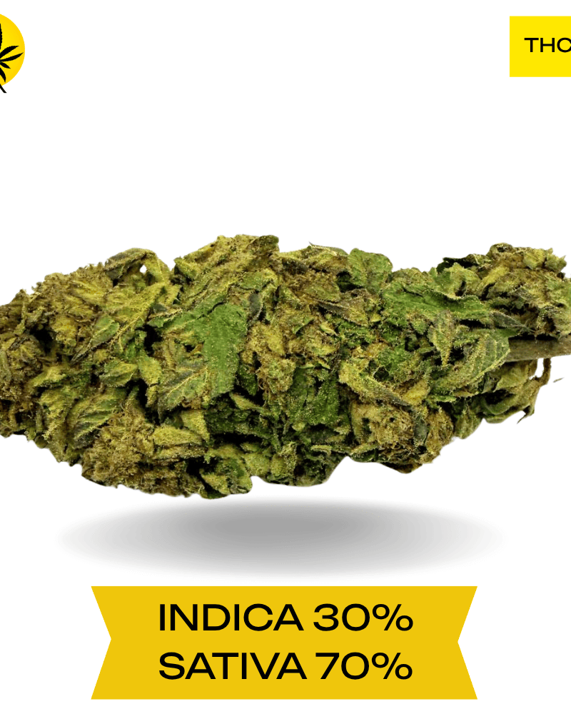 Jet Fuel AAA 3.oZ Deal