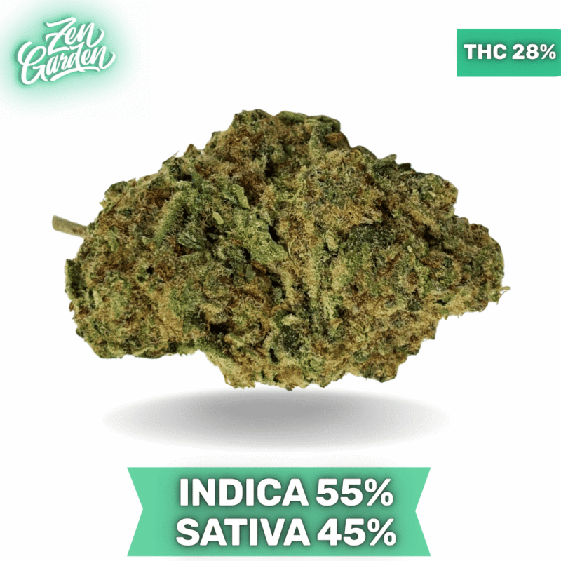 LSD Cannabis strain AAA+