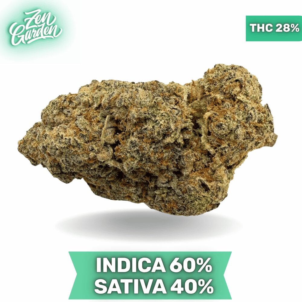 Miracle Alien Cookies (MAC) AAAA