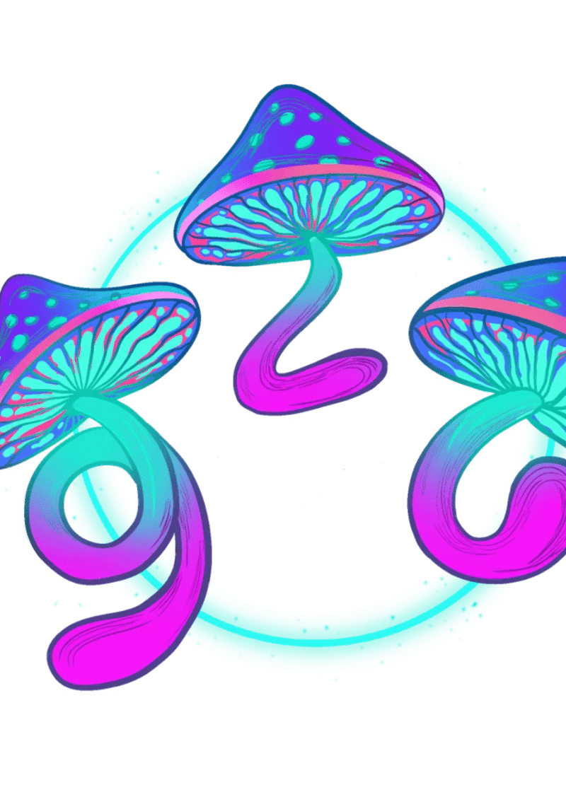 Magic Mushrooms
