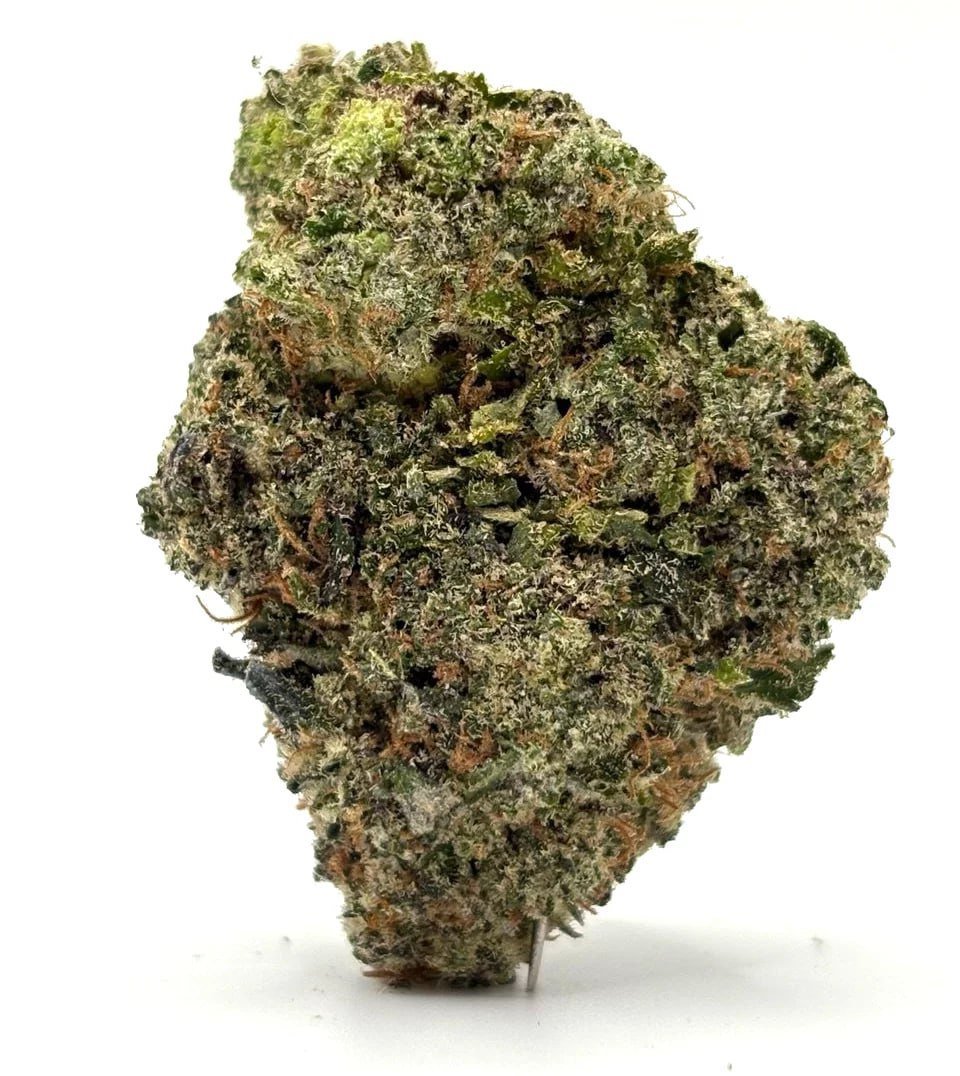 Notorious THC (AAAA+)