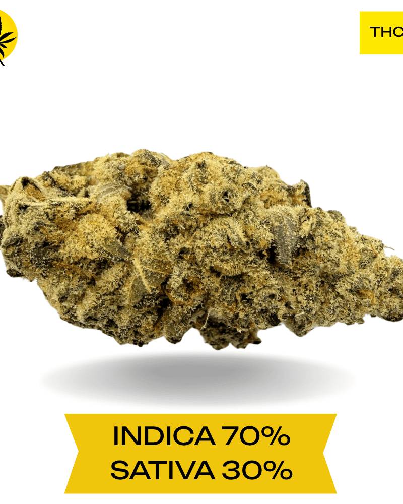 Purple Sour Diesel AAA