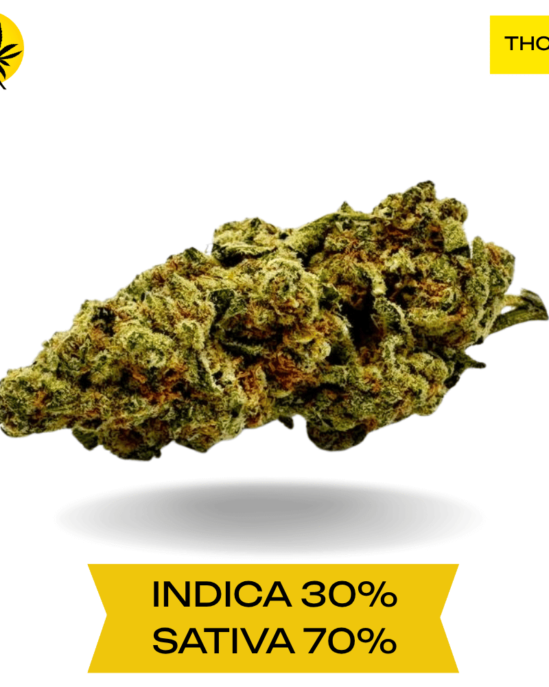 Alaskan Thunder Fuck (ATF) AAAA