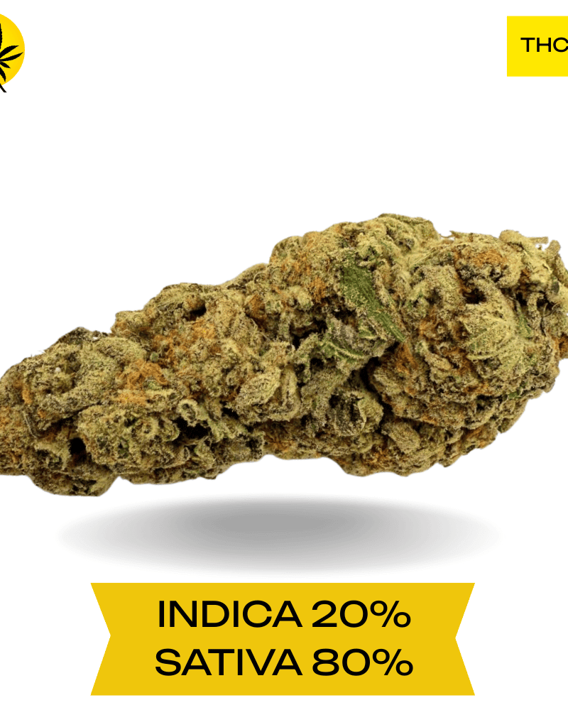 Black Cherry Soda AAAA