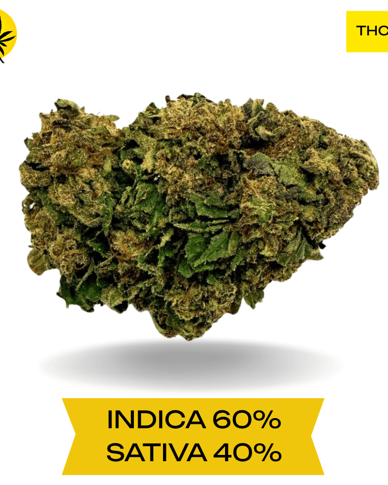 Gorilla Glue AAA 3.oZ Deal