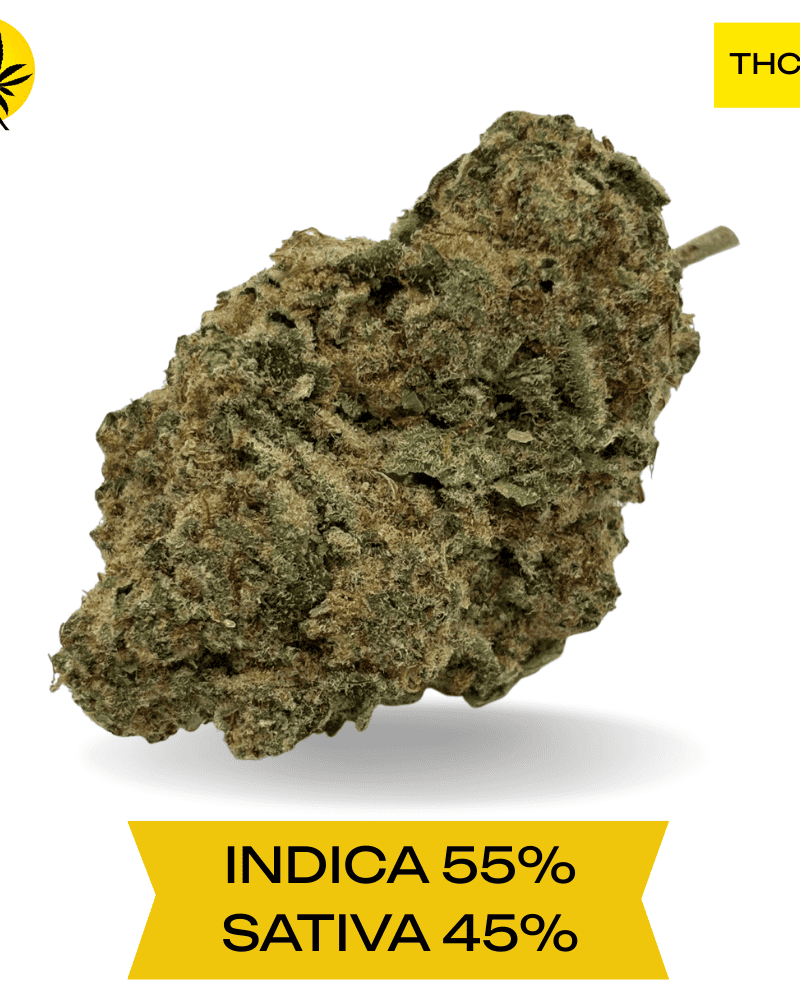 LSD Cannabis strain AAA+