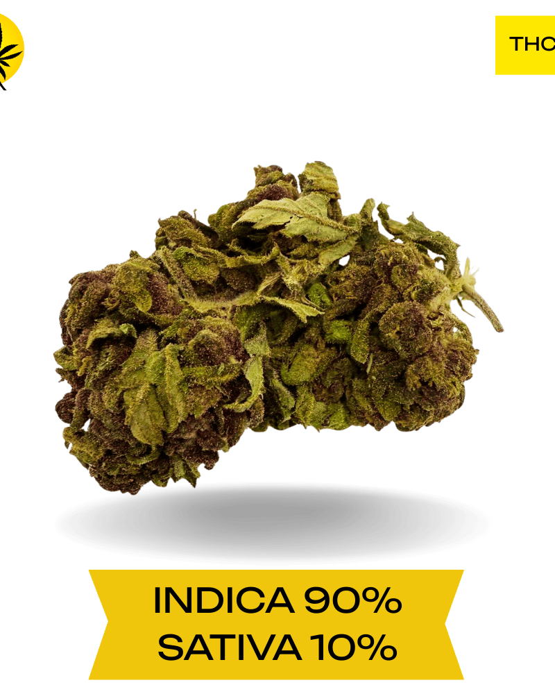 Northern Lights AA+ 3 Oz Deal