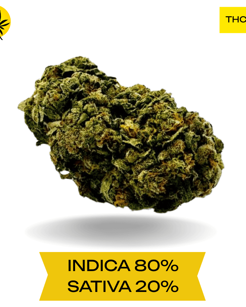 Organic Pink Kush AAAA