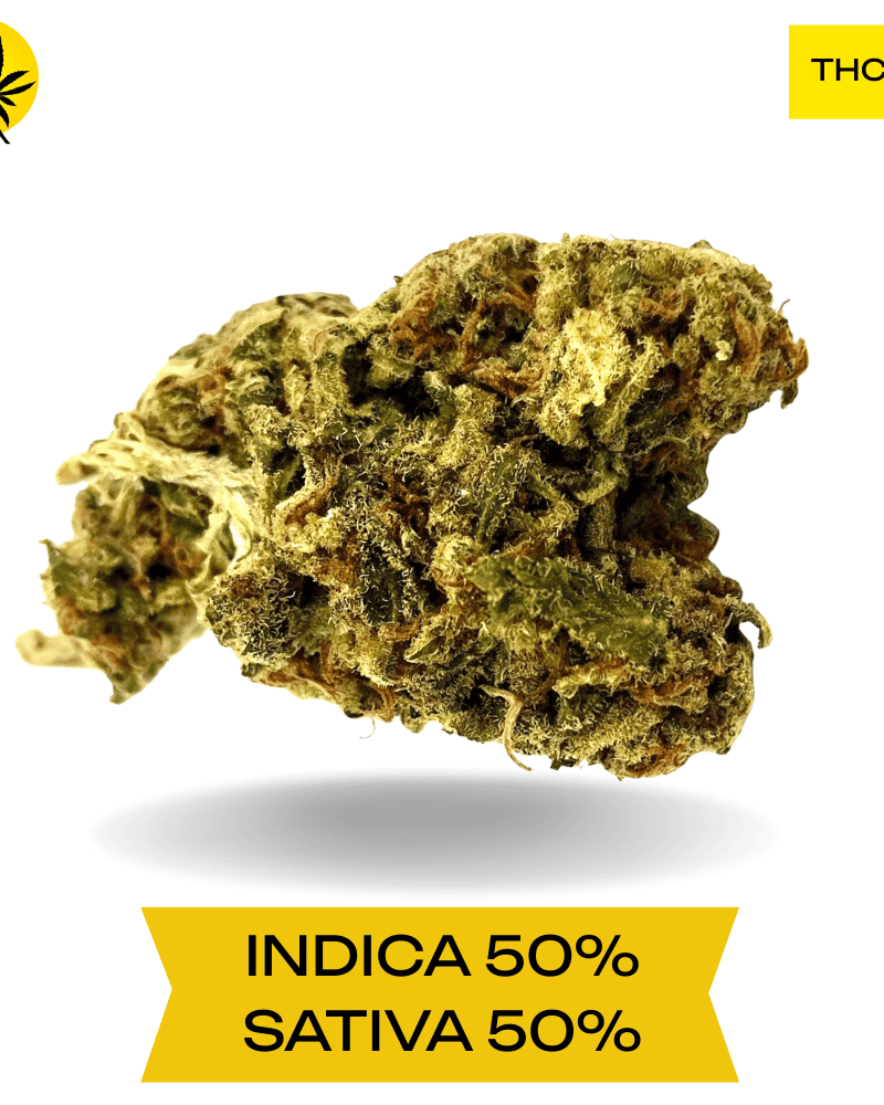 Party Mix AAA 3 OZ FOR 150!