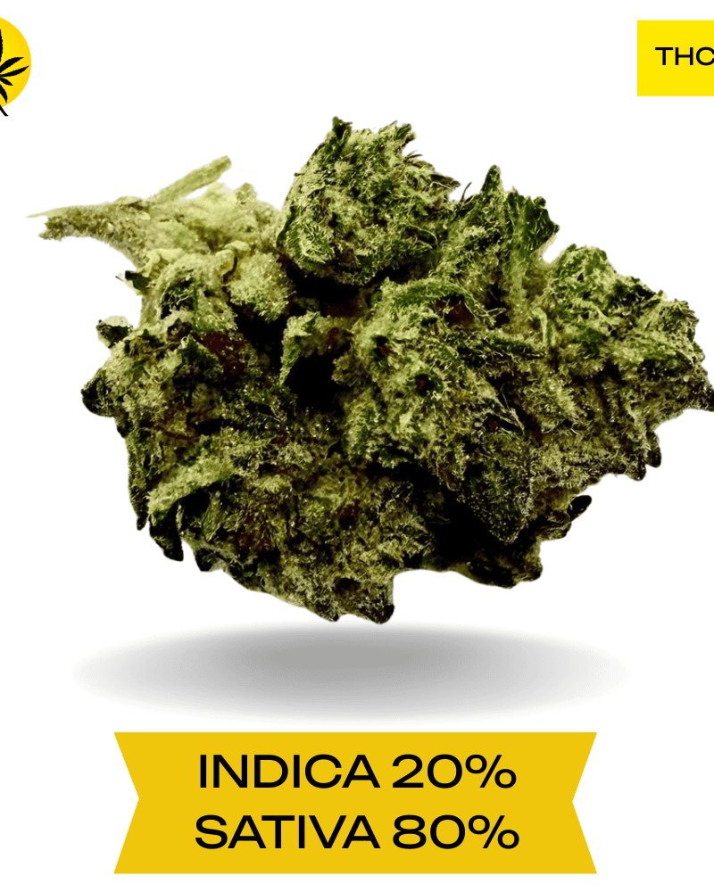 Super Silver Haze AA+