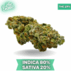 Organic Garry El Jefe AAAA