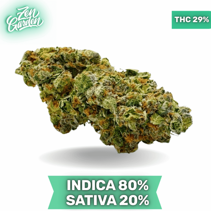 Organic Garry El Jefe AAAA