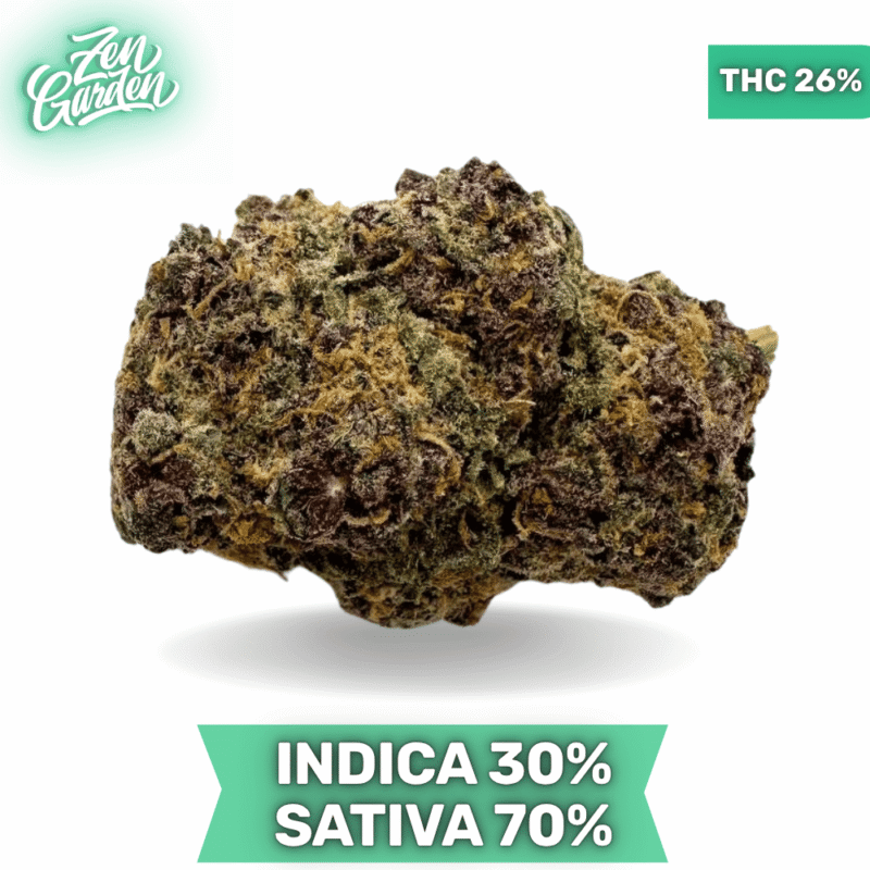 Purple Lemonade Haze AAA+