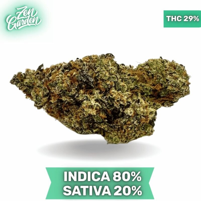 Motorbreath AAAA