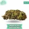 Great White Shark AAA 3.oZ Deal