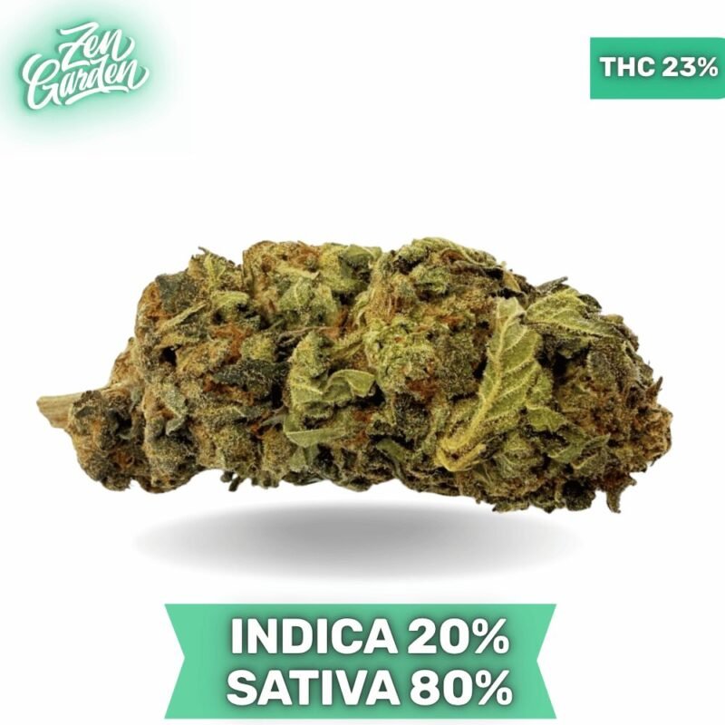 Great White Shark AAA 3.oZ Deal