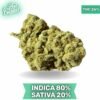 Afgoo OG AAA