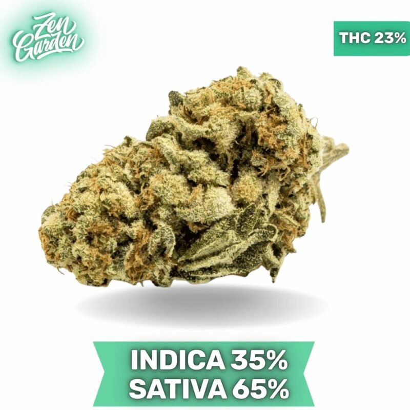 BC Big Bud AAA 3.oZ Deal