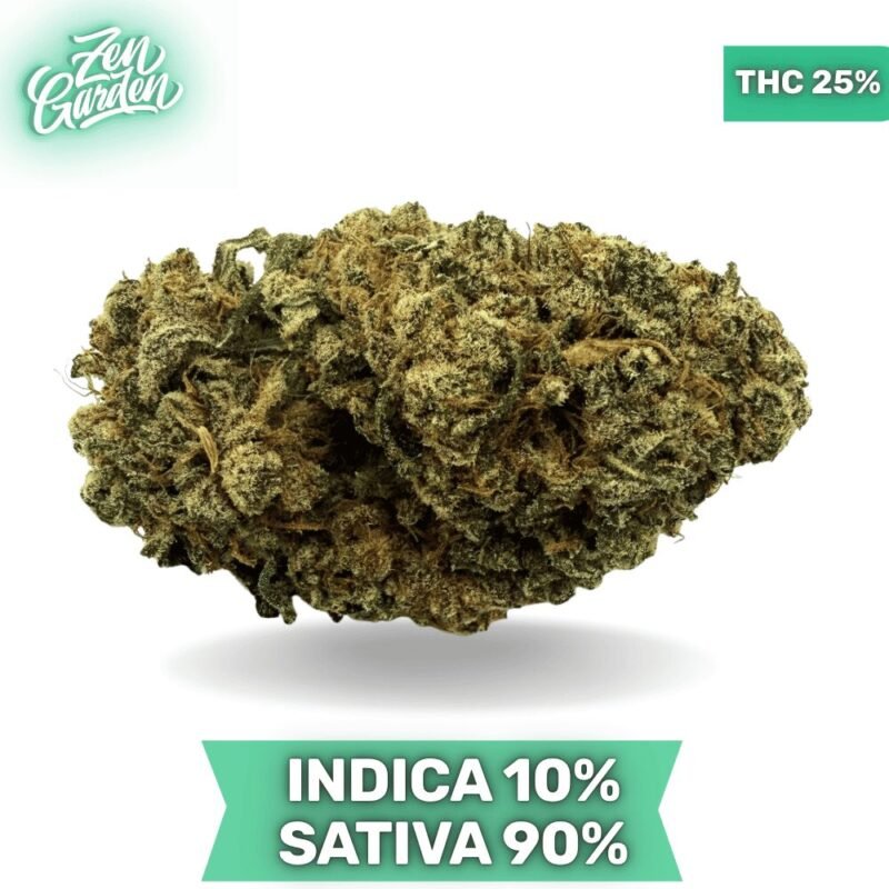 Durban Poison AAA+