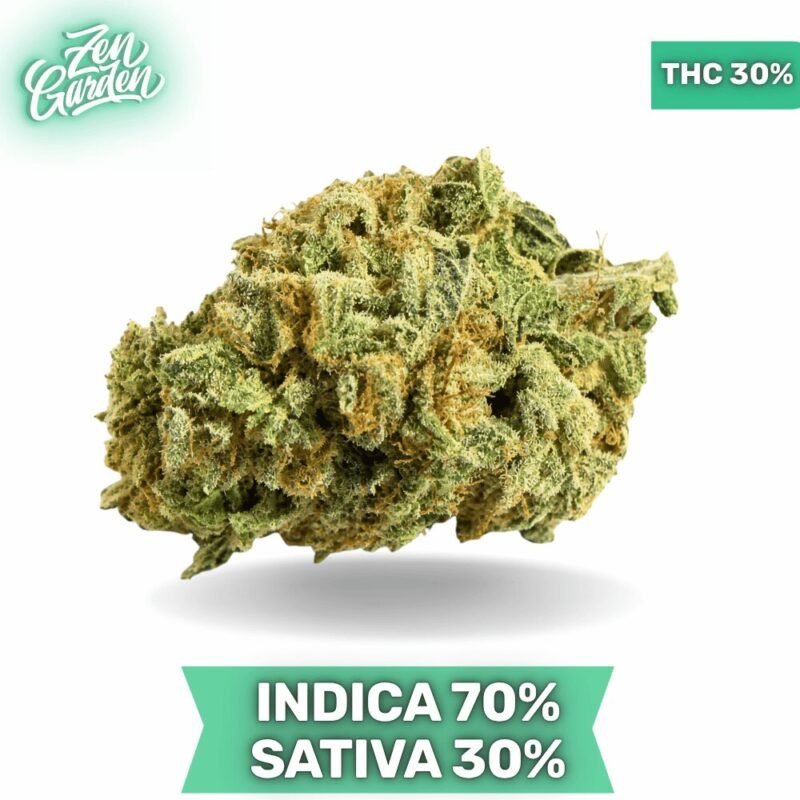 Diesel Thai AAAA